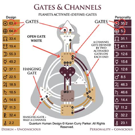 Human Design Gates What They Mean For You