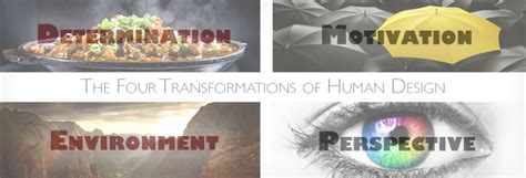Human Design System Four Transformations Determination Environment Perspective Motivation