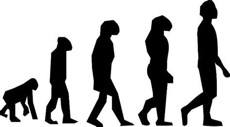 Human Evolution 101 - Adventure