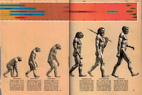 Human Evolution and Progress - ScienceDirect