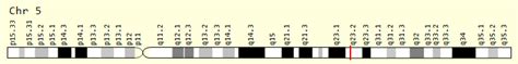 Human Gene CSNK1G3 (uc031skw.1) - genome-euro.ucsc.edu