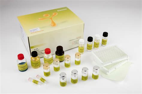 Human IL-6 ELISA Kit Diaclone