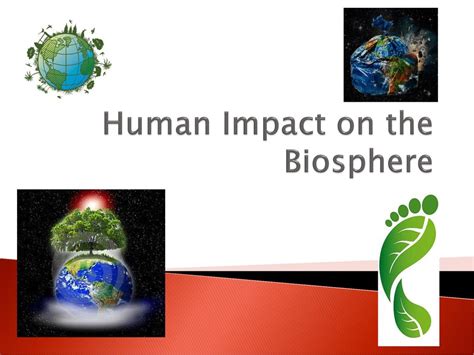 Human Impact On The Biosphere Answers