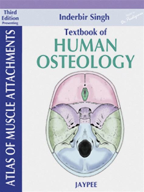 Human Osteology 3rd Edition Pdf - minedit.com