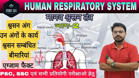 Human Respiratory System मानव श्वसन तंत्र भाग - 5 By …