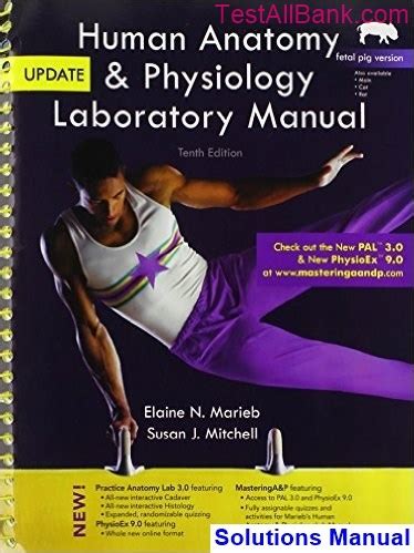 Human anatomy and physiology lab manual 10th edition fetal pig version. - Interior design business a guide on how to start a.