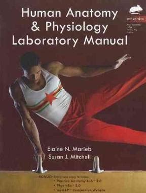 Human anatomy and physiology lab manual rat. - 1990 1997 yamaha waverunner iii 650 700 waverunner repair repair service professional shop manual.