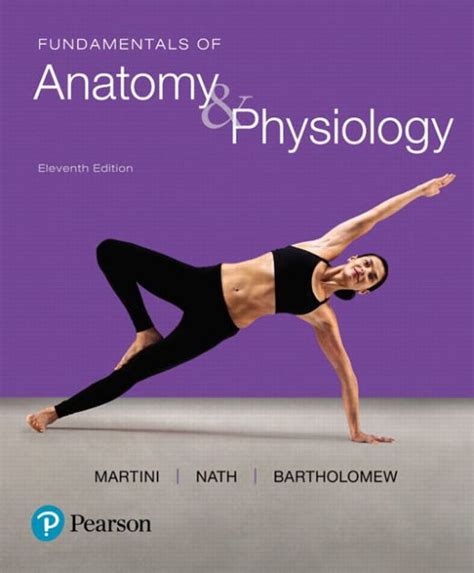 Human anatomy and physiology martini study guide. - Mathematical statistics with applications freund solutions manual.
