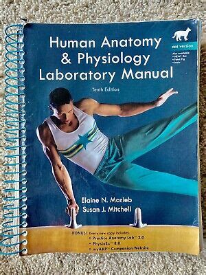 Human anatomy lab manual marieb 9th instructor. - The health care professional s guide to disease management patient.