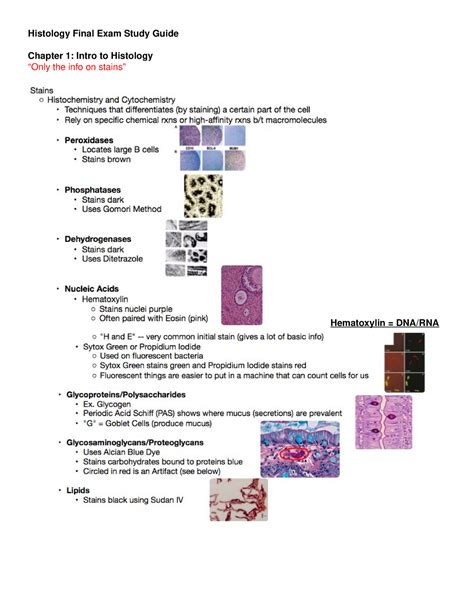 Human anatomyheart histology lab study guide answers. - Solution manual for introduction to wireless systems.epub.