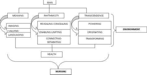 Human becoming theory application