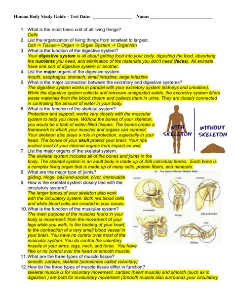 Human body study guide answer key. - Summe ruyrael sprekende van allen rechten.
