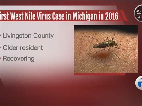 Human case of West Nile virus possibly found in Weld County