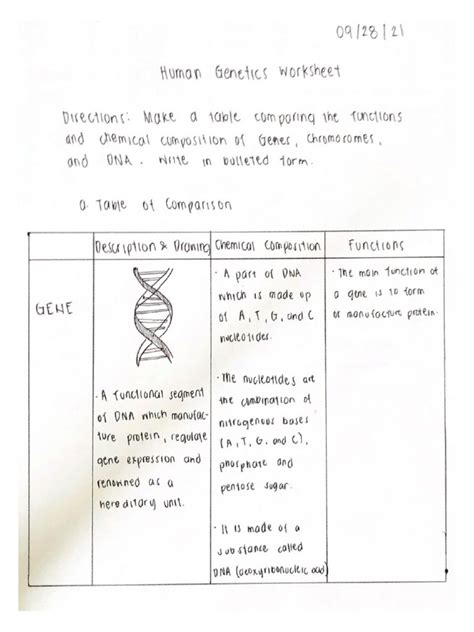 Human genetics worksheet.  It covers the Unit 7 Human Genetics Lab (I do...