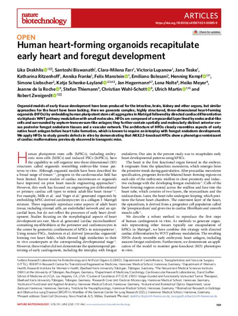 Human heart-forming organoids recapitulate early heart …