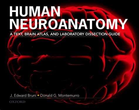 Human neuroanatomy a text brain atlas and laboratory dissection guide. - Haynes car manual 1992 lancer gsr 4g93.