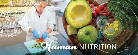 Human nutrition; en orientering i näringsfysiologins grunder. - Leggi online o wullies capperi segreti murdochs.