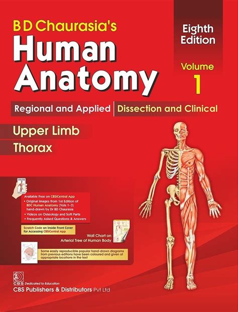 Human osteology notes handbook bd chaurasia. - The new jerome bible handbook based on the new jerome.
