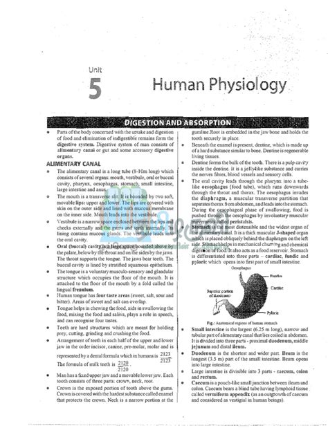 Human physiology notes for neet pdf.  This document is an original summary designed...