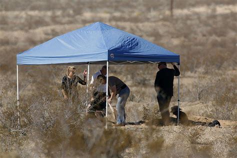 Human remains discovered in San Bernardino County