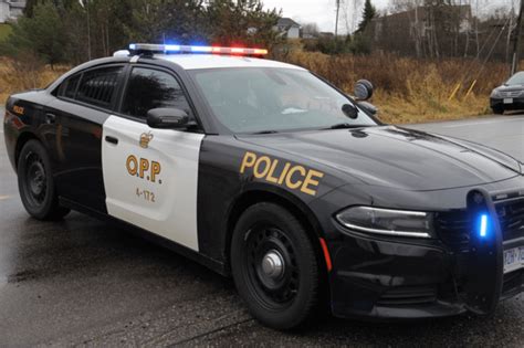 Human remains found off Hwy. 26 in Wasaga Beach