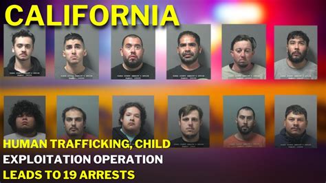 Human trafficking, child exploitation operation leads to 19 arrests