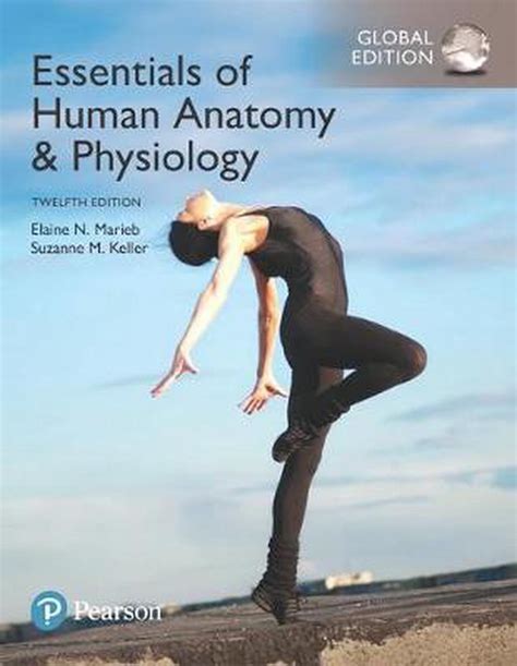 Download Human Anatomy  Physiology By Elaine N Marieb