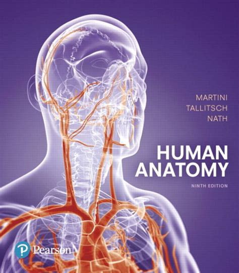 Download Human Anatomy By Frederic H Martini