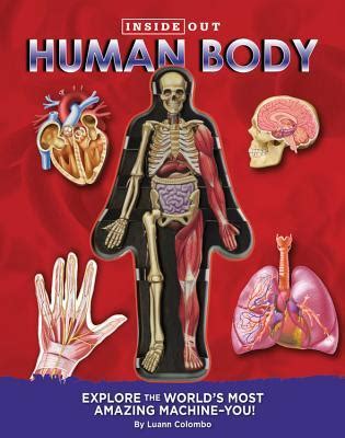 Read Human Body Discover The Inner Workings Of The Human Body By Quarto Publishing Group Usa