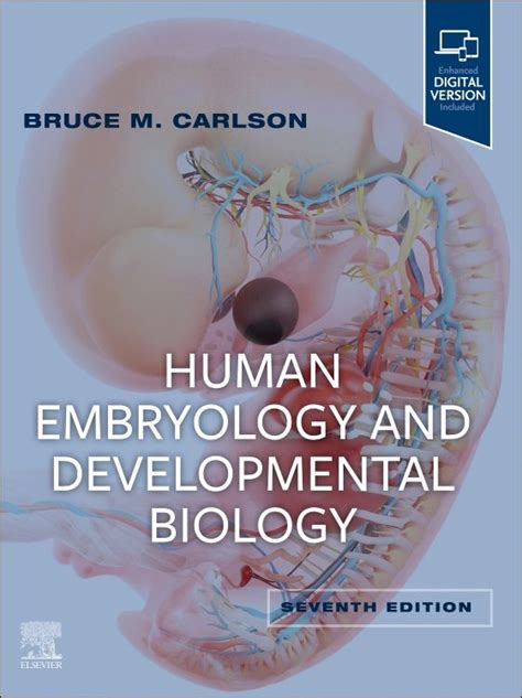 Full Download Human Embryology And Developmental Biology By Bruce M Carlson