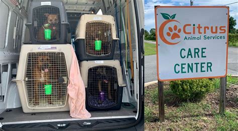 Humane Society of Broward County assists Citrus County shelter, transports animals ahead of Hurricane Idalia