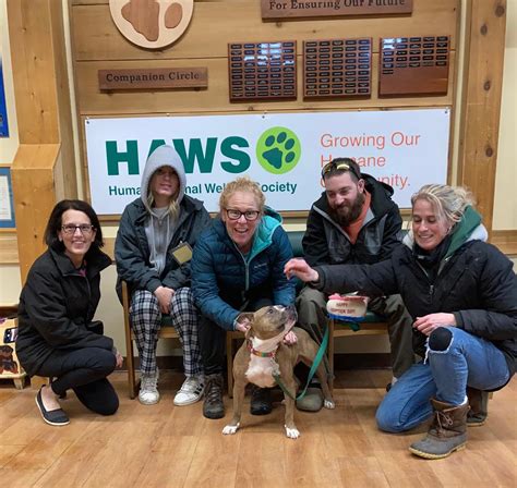 Humane animal welfare society haws of waukesha county adoption. Humane Animal Welfare Society - HAWS of Waukesha County Northview Road details with ⭐ 80 reviews, 📞 phone number, 📅 work hours, 📍 location on map. Find similar veterinary hospitals in Wisconsin on Nicelocal. 
