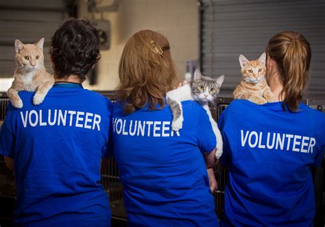 The Humane Society & SPCA of Hancock County exists to educate the public on care and responsible treatment of animals; to humanely provide for and protect unwanted, lost and abused animals; and, to create a quality environment for all animals through its policies and presence in the community. 