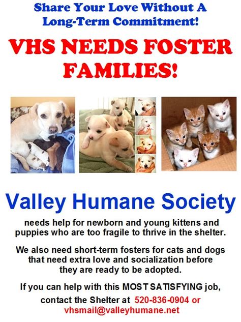 Valley Humane Society. Casa Grande, AZ. get directions. age. Senior.