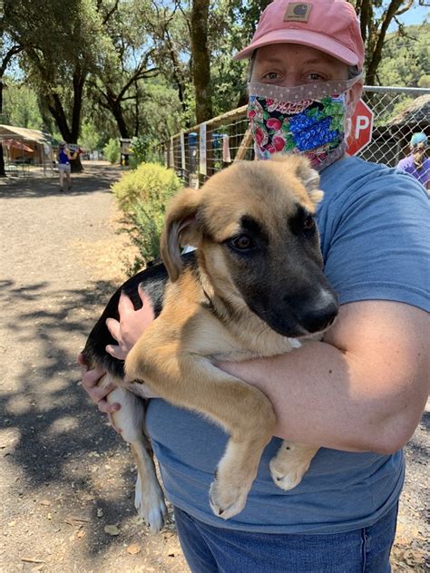 Humane Society for Inland Mendocino County, Redwood Valley. 13,180 likes · 2,219 talking about this · 1,183 were here. The purpose of this non-profit is... The purpose of this non-profit is to nurture, educate and engage our community.... 