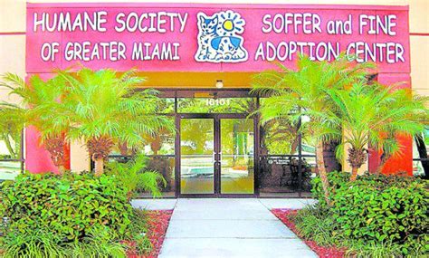 View the contact names and phone numbers for our staff at the Humane Society of Greater Miami. Use our online contact form to contact our team. Call Us: 305-696-0800 - Contact Us. Twitter; Facebook; ... Humane Society of Greater Miami 16101 West Dixie Highway North Miami Beach, FL 33160 305-696-0800. Note: If you cannot find who to contact .... 