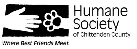 Humane society of chittenden county. Humane Society of Chittenden County South Burlington, VT Location Address 142 Kindness Court South Burlington, VT 05403. Get directions bestfriends@hsccvt.org … 