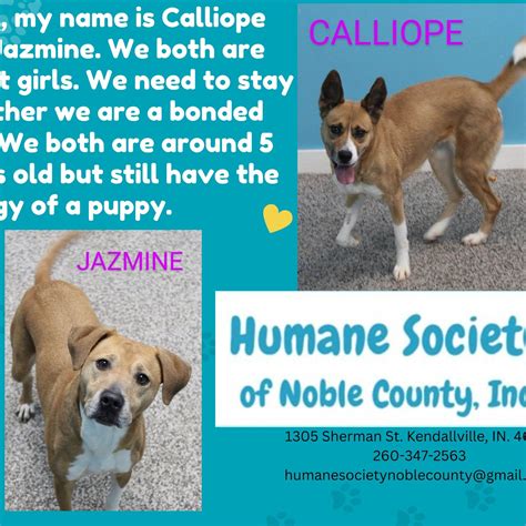Humane society of noble county. Things To Know About Humane society of noble county. 