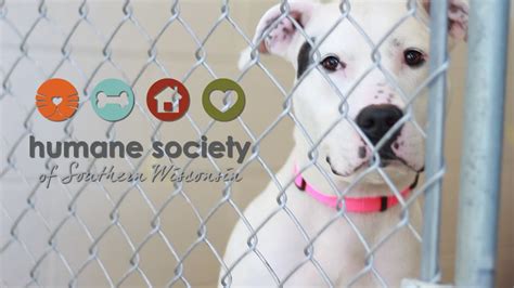 Humane society of southern wisconsin. The Wisconsin Humane Society is committed to making a difference for animals and the people who love them. Because of generous donors like you, they are able to rescue, rehabilitate, and rehome thousands of animals like me every year! WHS's federal tax ID # is #39-0810533. Donate. 
