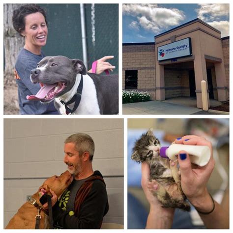 Humane society of summit county. Things To Know About Humane society of summit county. 