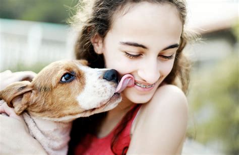 Humane society of tampa bay adoption. Humane Society of Tampa Bay, Tampa, Florida. 132,257 likes · 3,684 talking about this · 28,435 were here. Dedicated to ending animal homelessness and providing care and comfort for companion animals... 