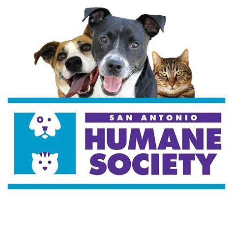 Humane society san antonio. Shelter Helpers Service Club. Brought to you by the San Antonio Humane Society’s Camp Humane program, Shelter Helpers Service Club is a single-day camp experience available to middle and high school students. Go behind-the-scenes to learn more about the shelter, its mission, and what can be done to help some of San Antonio’s most vulnerable ... 