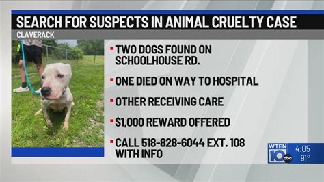 Humane society seeks suspects in animal cruelty case