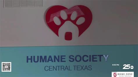Humane society waco. Our Non-Profit Rescue Partners. While many of our animals go into foster and forever homes locally, we want to make sure that all the animals at the Waco Animal Shelter have the best opportunity for a wonderful life. 