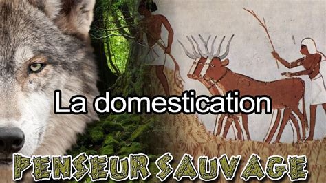 Humaniser les animaux La domestication - [Animaux CH.2 EP.12]