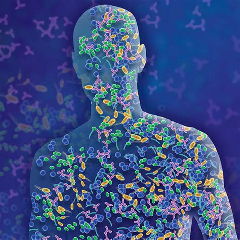 Humanmicrobes.or. Personal health & fitness discussion. Intro PittsburghGutGuy. Jan 23, 2024. PittsburghGutGuy. Community for evidence-based discussion, articles, and studies on the human microbiome, its impacts on health & society, and what we can do. 