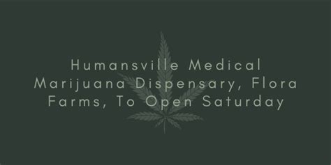 Flora Farms Humansville dispensary has a verified licensed physical storefront location at 68 E 300th Rd Humansville, MO 65674 where commercial cannabis activities are practiced. You can visit this legal Humansville dispensary store in person at this address. As a Missouri licensed cannabis dispensary, Flora Farms Humansville will only provide .... 