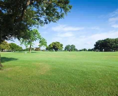 Humansville mo obituaries.  Find funeral home information on WhoPassedOn.  ...