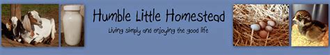 Humble Little Homestead - YouTube