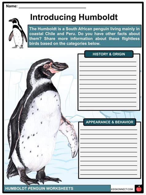 Humboldt Penguin Facts, Worksheets, Origin & Taxonomy For Kids